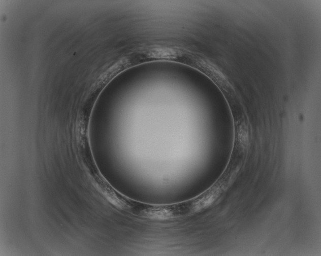 X0000087630322200705031452