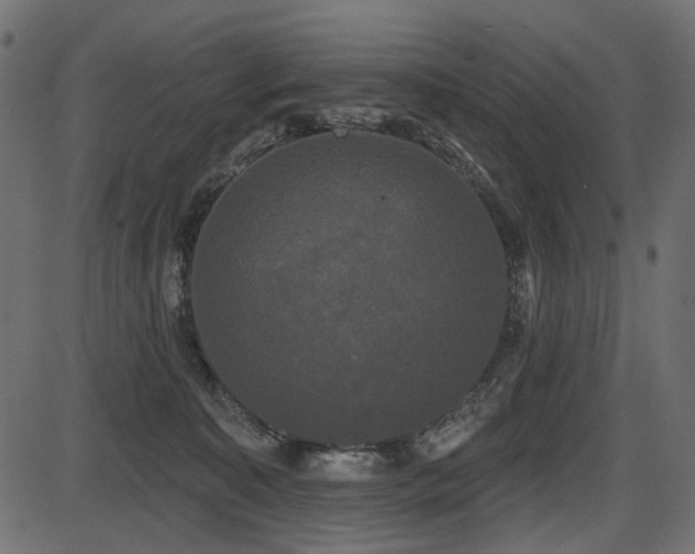 X0000087630323200705031452