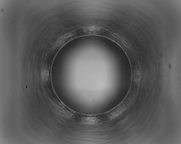 X0000087630324200705031452