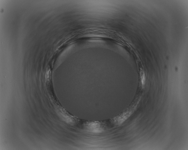 X0000087630325200705031452