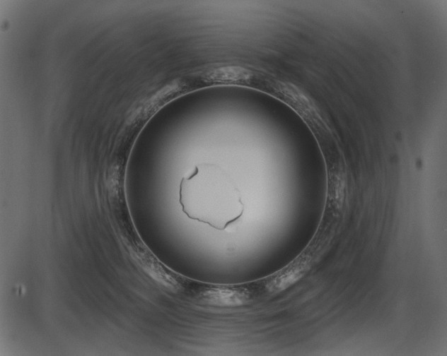 X0000087630326200705031452