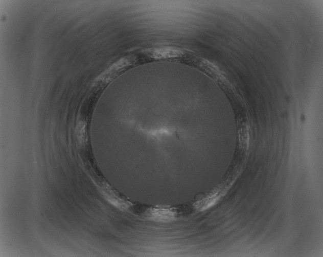 X0000087630327200705031452