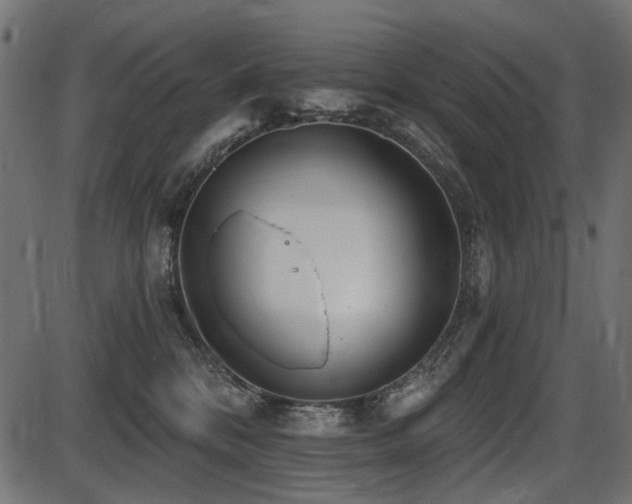 X0000087630328200705031452