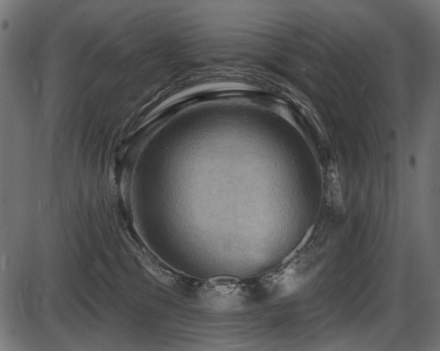 X0000087630329200705031452