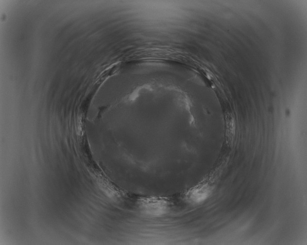 X0000087630331200705031452