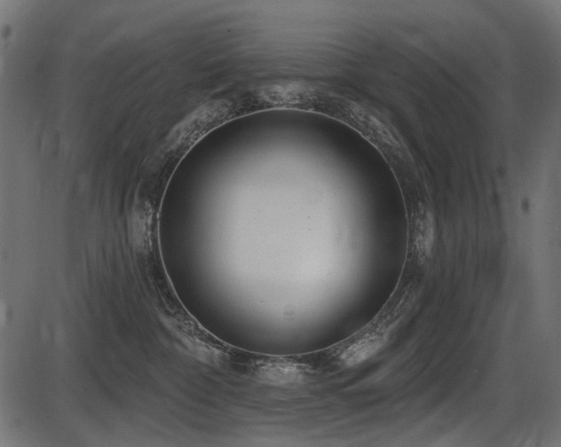 X0000087630332200705031452