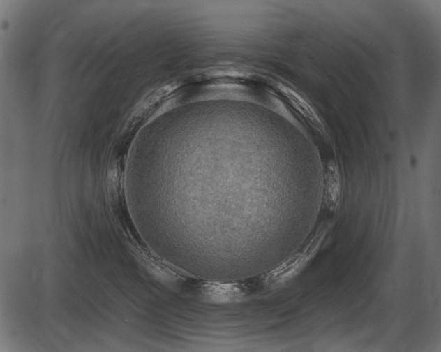 X0000087630333200705031451