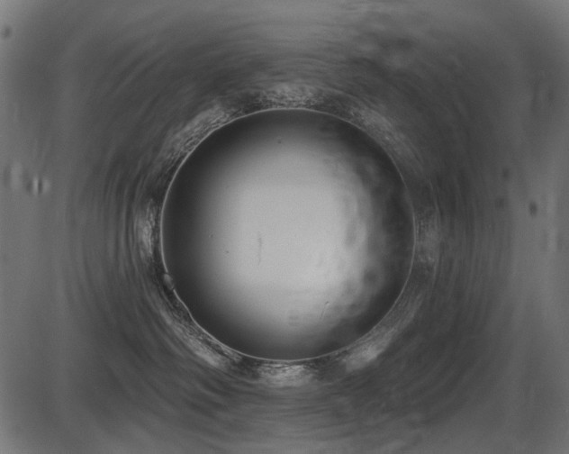 X0000087630334200705031451