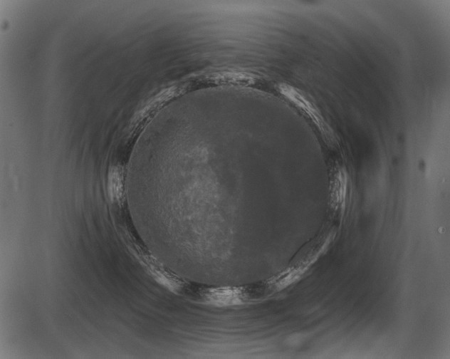 X0000087630335200705031451