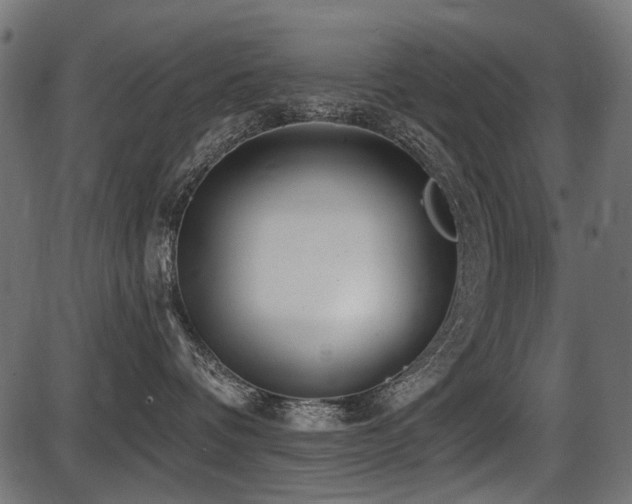 X0000087630336200705031451