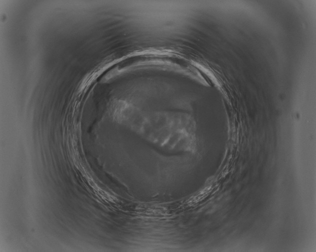 X0000087630337200705031451