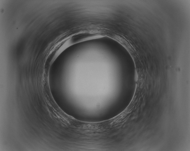 X0000087630338200705031451