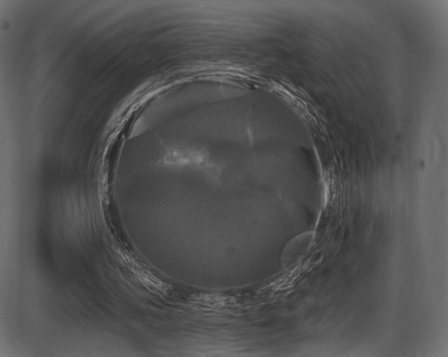 X0000087630339200705031451