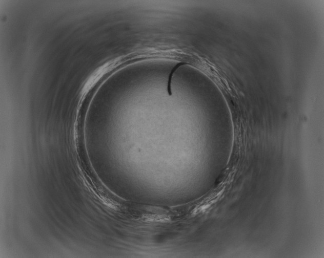 X0000087630340200705031451