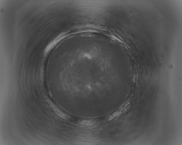 X0000087630341200705031451