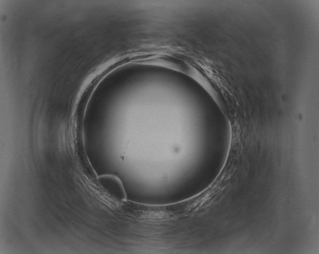 X0000087630342200705031451