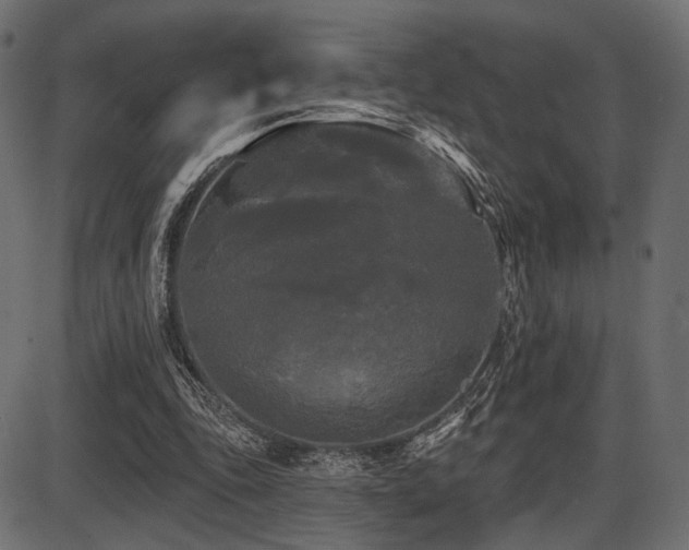 X0000087630343200705031451