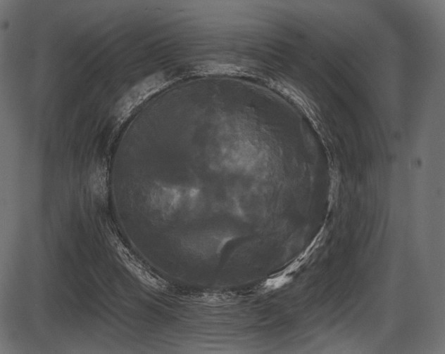 X0000087630345200705031451