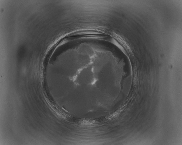 X0000087630346200705031451