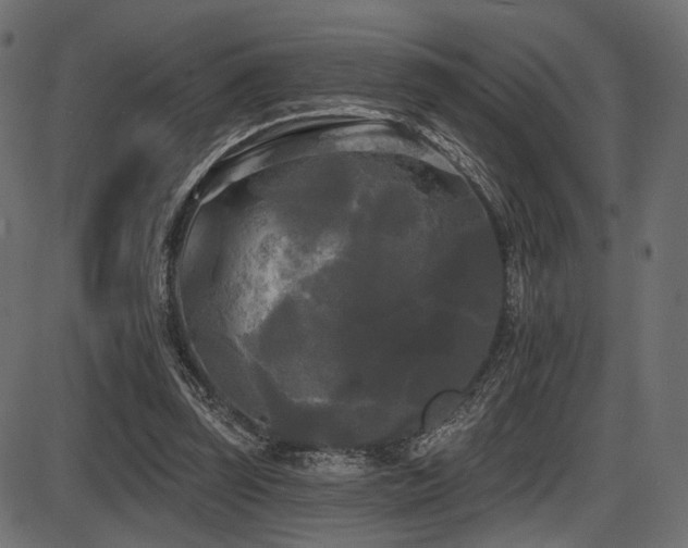 X0000087630347200705031451