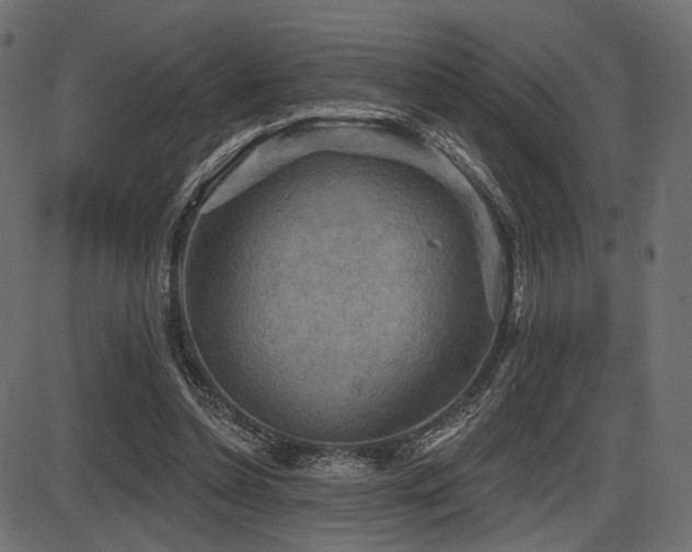 X0000087630348200705031451