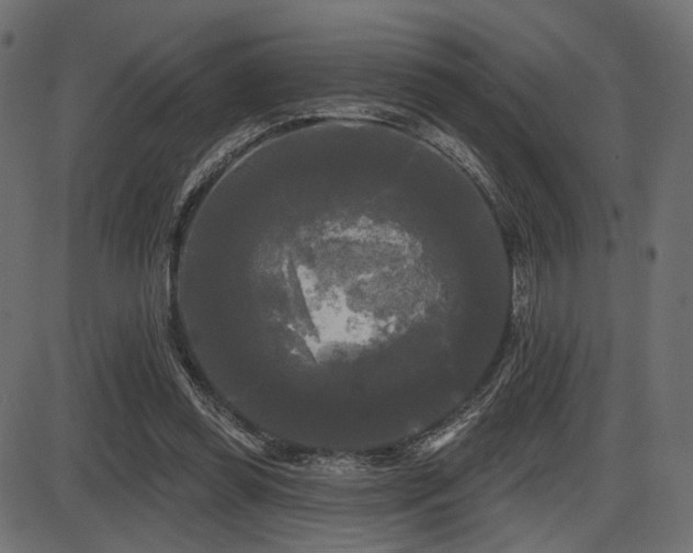 X0000087630349200705031451