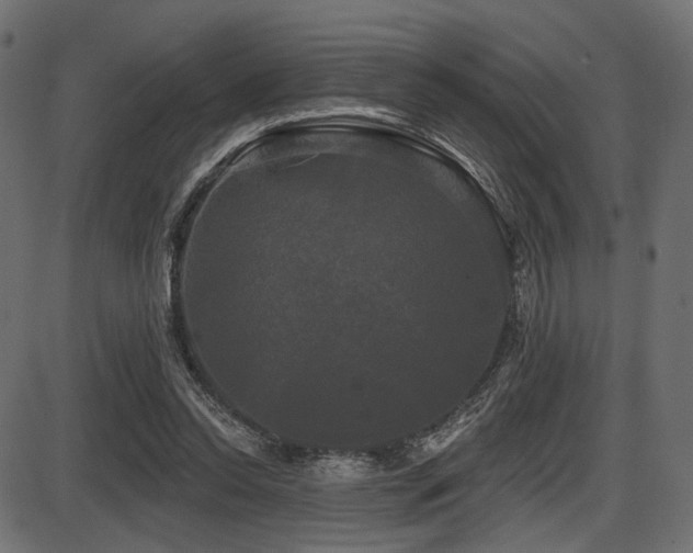 X0000087630350200705031451