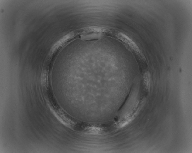 X0000087630352200705031451