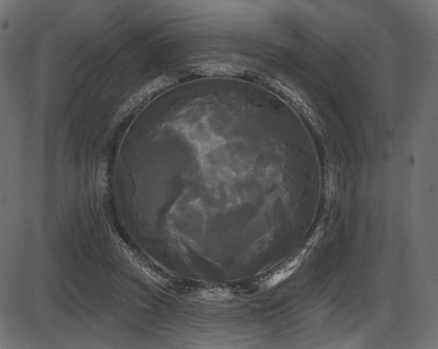 X0000087630353200705031451