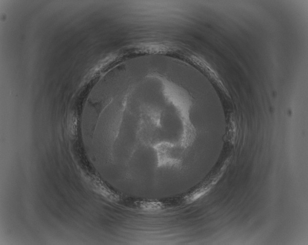 X0000087630355200705031451