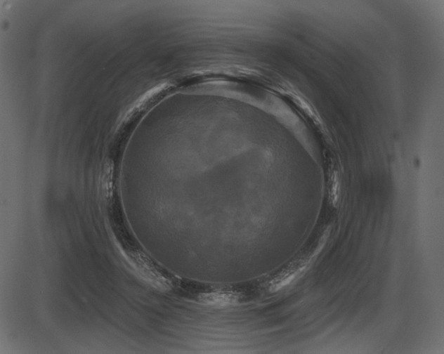 X0000087630356200705031451