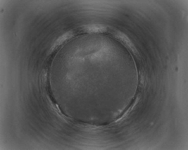 X0000087630357200705031451