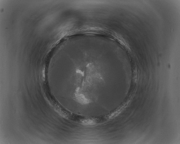 X0000087630358200705031451