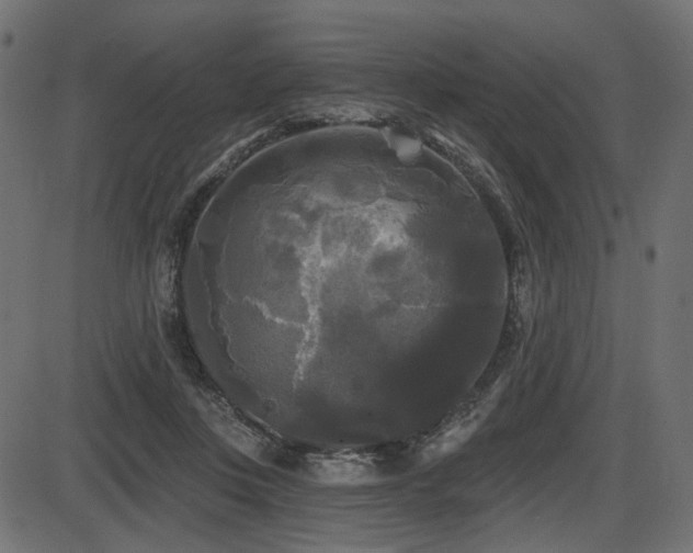 X0000087630359200705031451