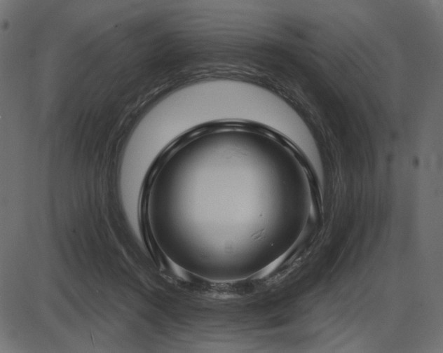 X0000087630360200705031451