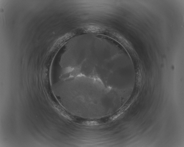 X0000087630361200705031451