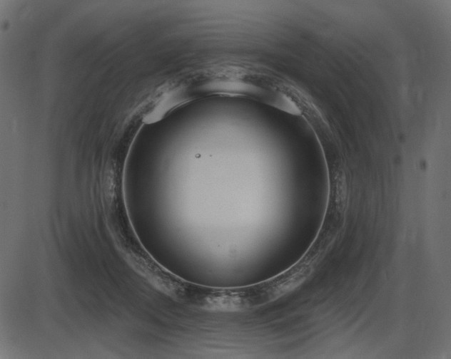 X0000087630362200705031451