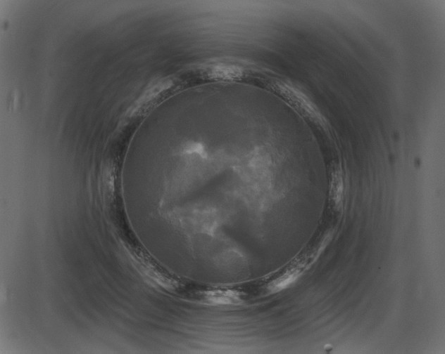 X0000087630363200705031451