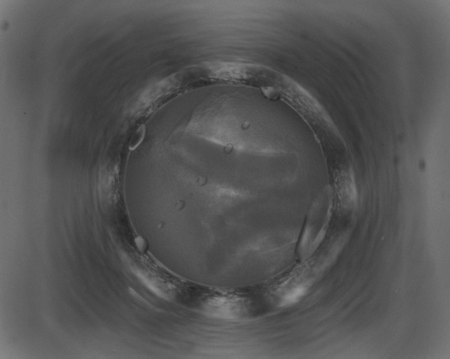 X0000087630364200705031451