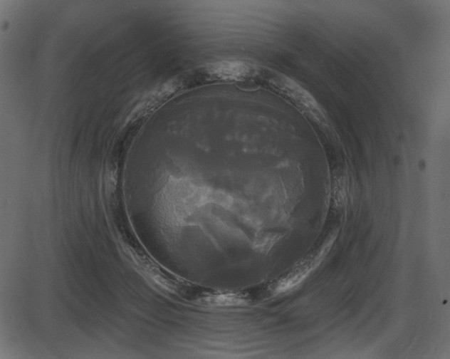 X0000087630365200705031451