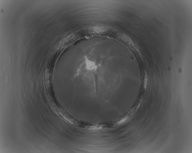 X0000087630366200705031451