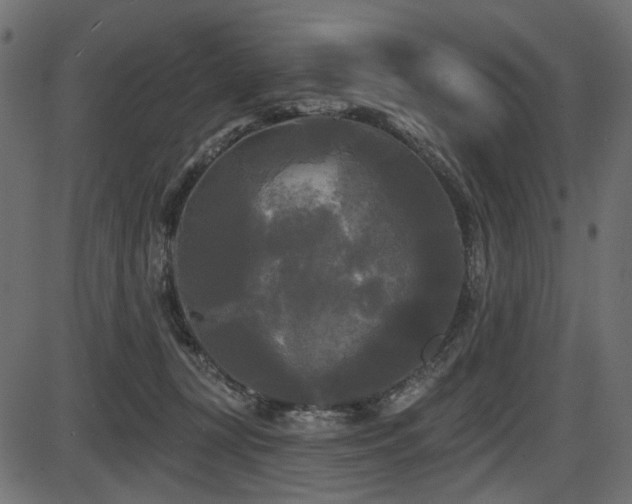 X0000087630367200705031451