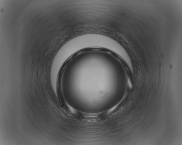 X0000087630368200705031451