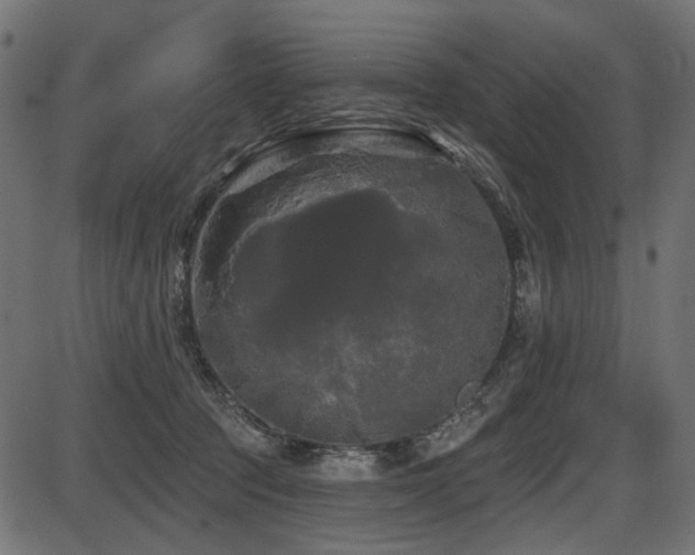 X0000087630369200705031451