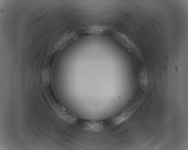 X0000087630370200705031451