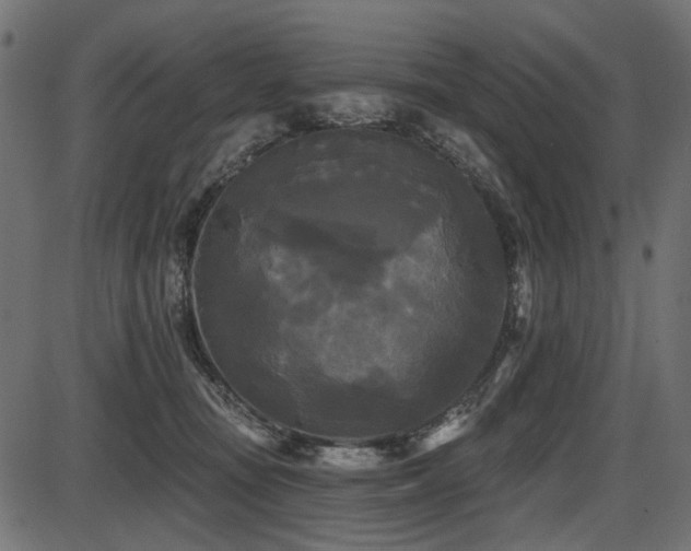 X0000087630371200705031451