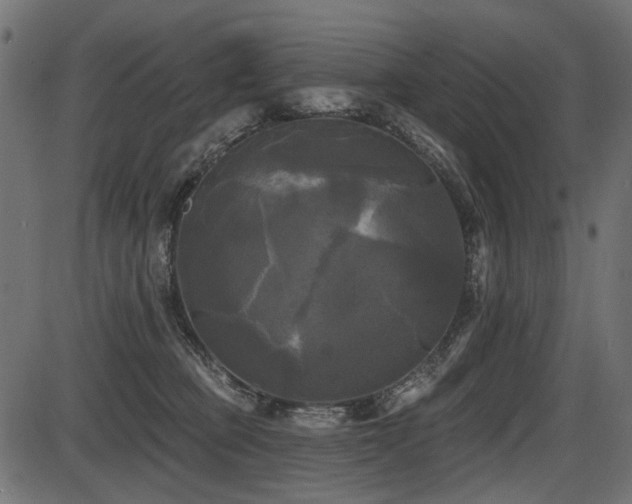 X0000087630373200705031451