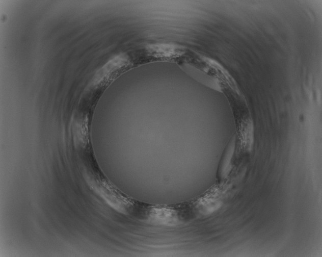 X0000087630376200705031451