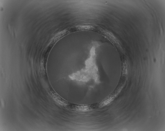 X0000087630377200705031451