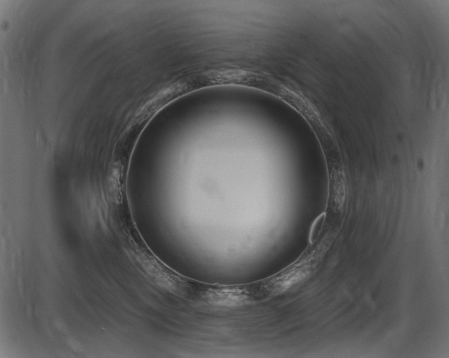 X0000087630378200705031451